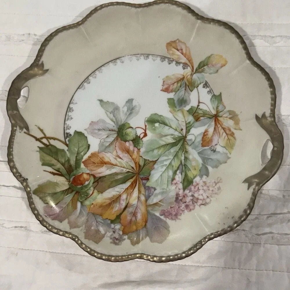 Cottage Germany Floral Plate Grandma Shabby Chic Tab Handled   10